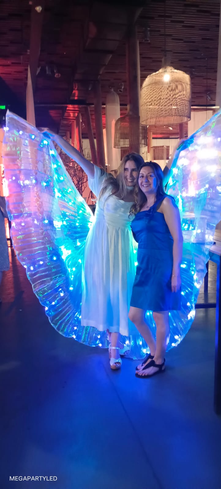 Fiesta Plan Basico - imagen 12